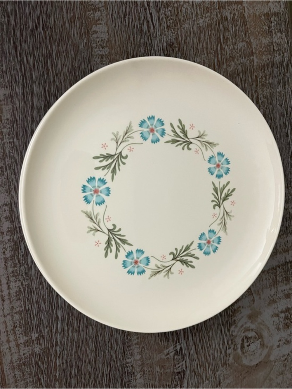 Vintage Taylor Smith & Taylor “Bridal Wreath” dinner plates set of three